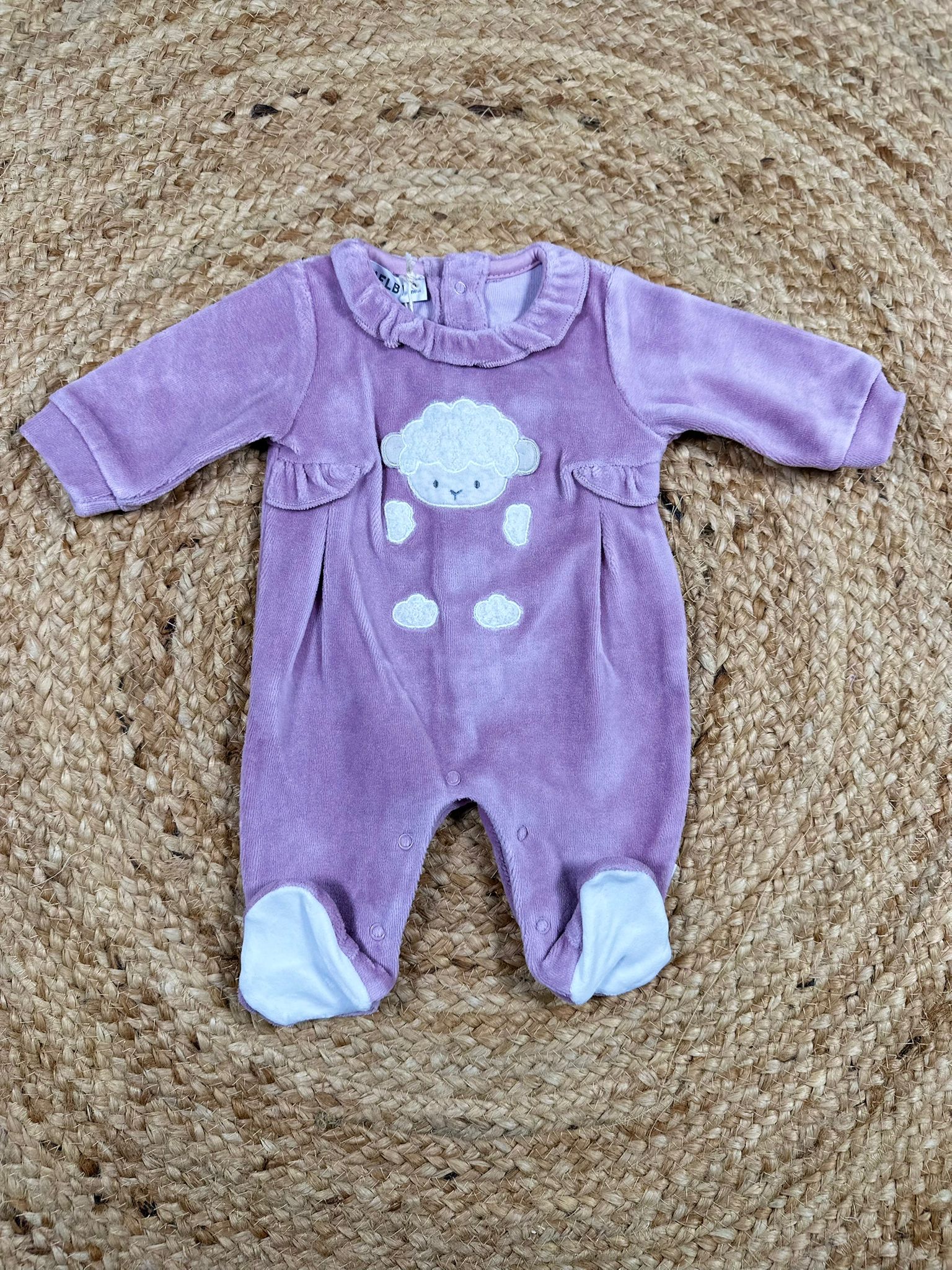 Box Nascita Pecorella