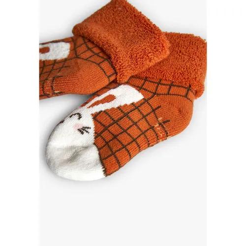 Calzini - 192002/5169